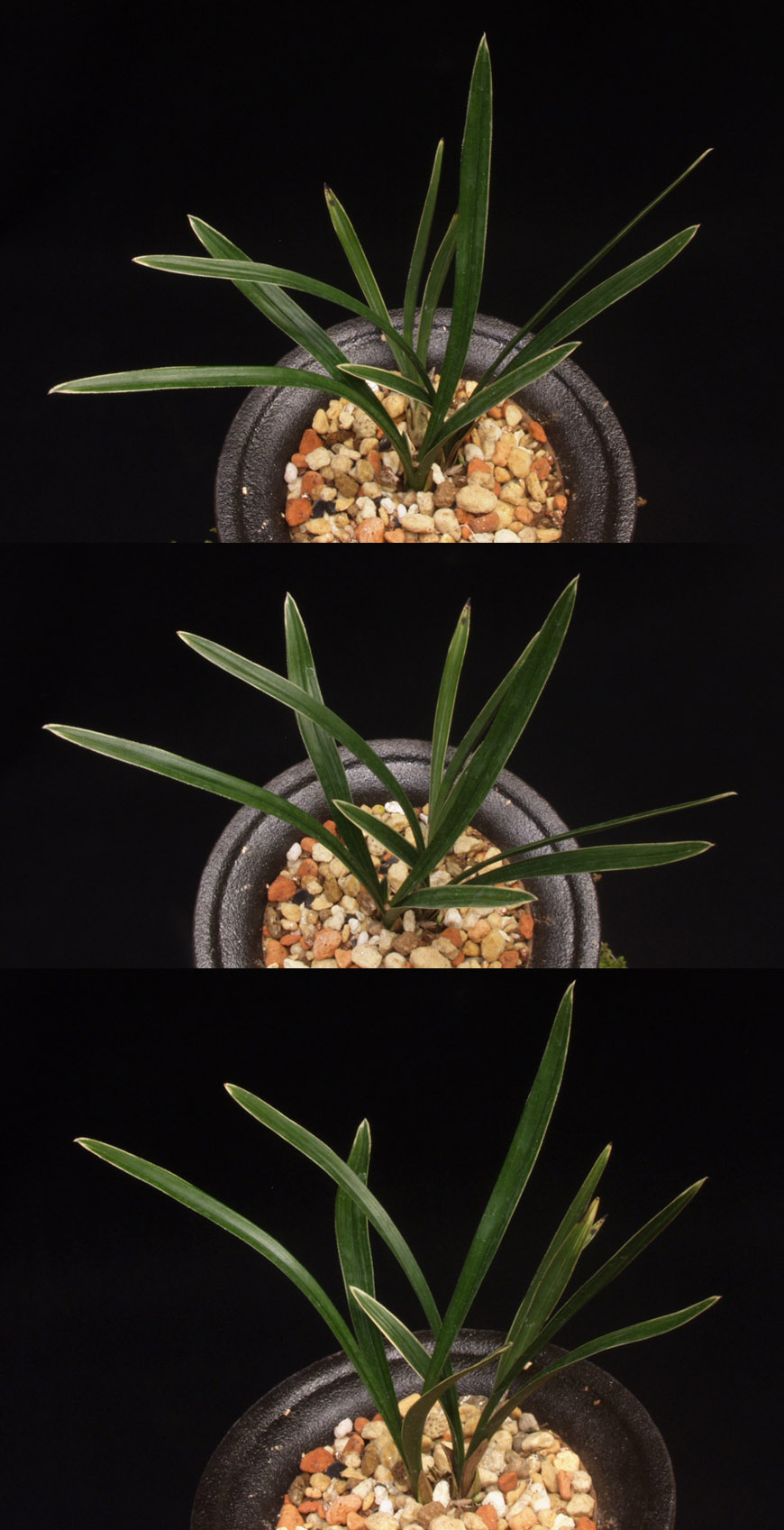 ������ ū������ �� �� �ֽ��ϴ�.