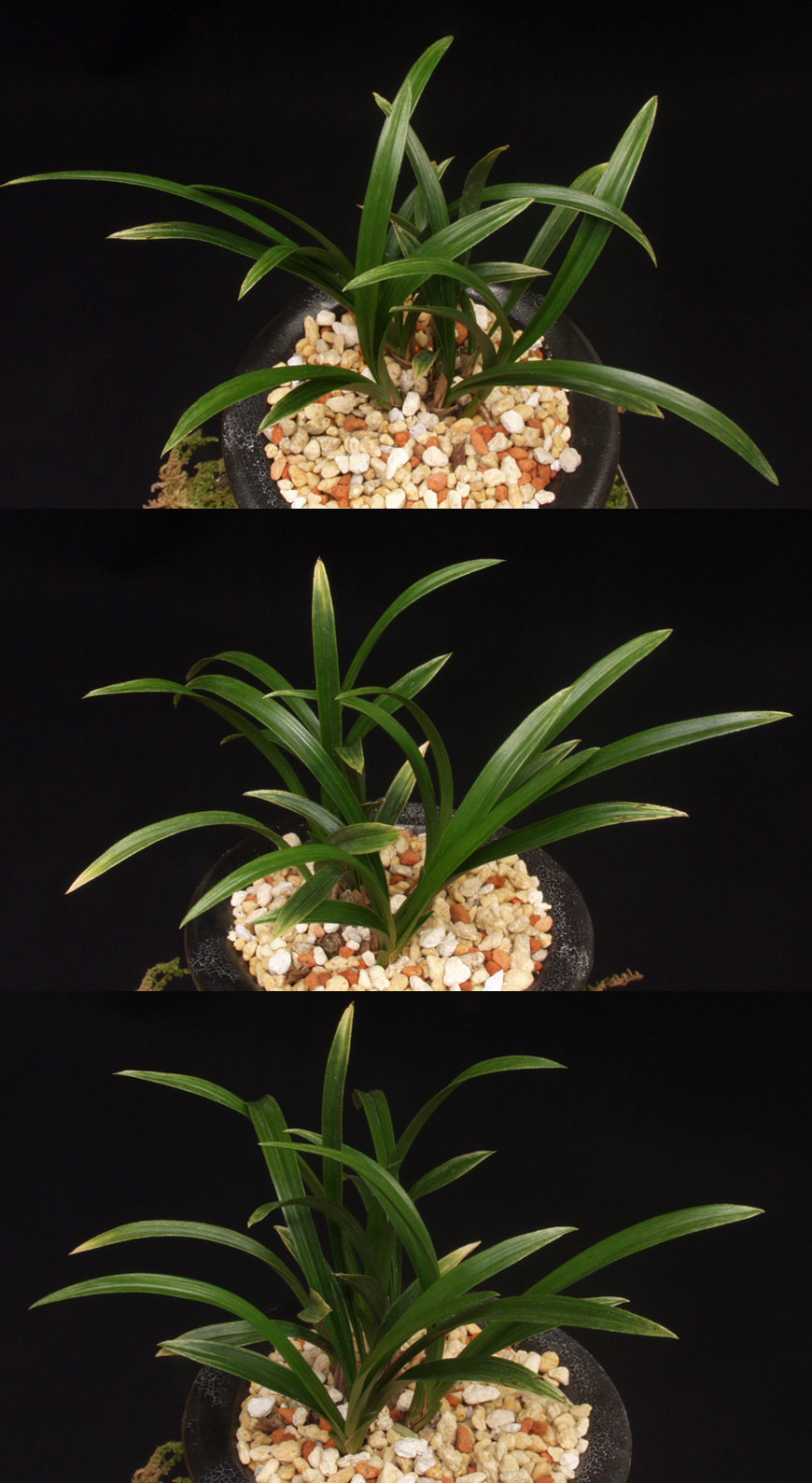 ������ ū������ �� �� �ֽ��ϴ�.