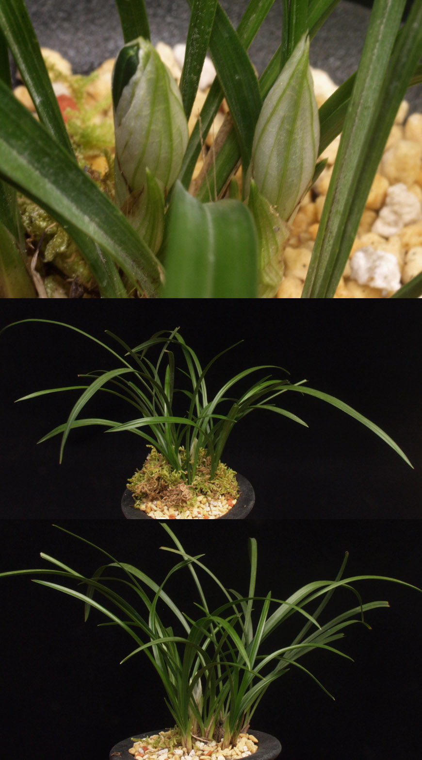 ������ ū������ �� �� �ֽ��ϴ�.