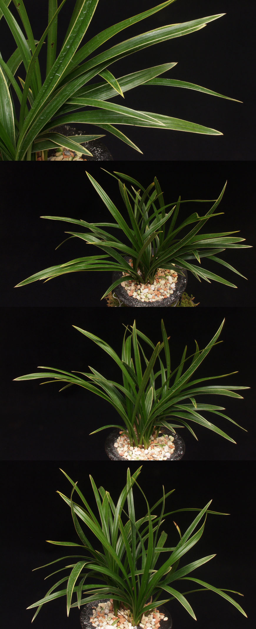 ������ ū������ �� �� �ֽ��ϴ�.