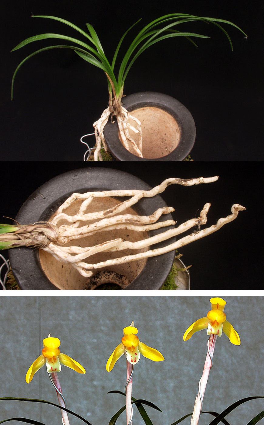 ������ ū������ �� �� �ֽ��ϴ�.