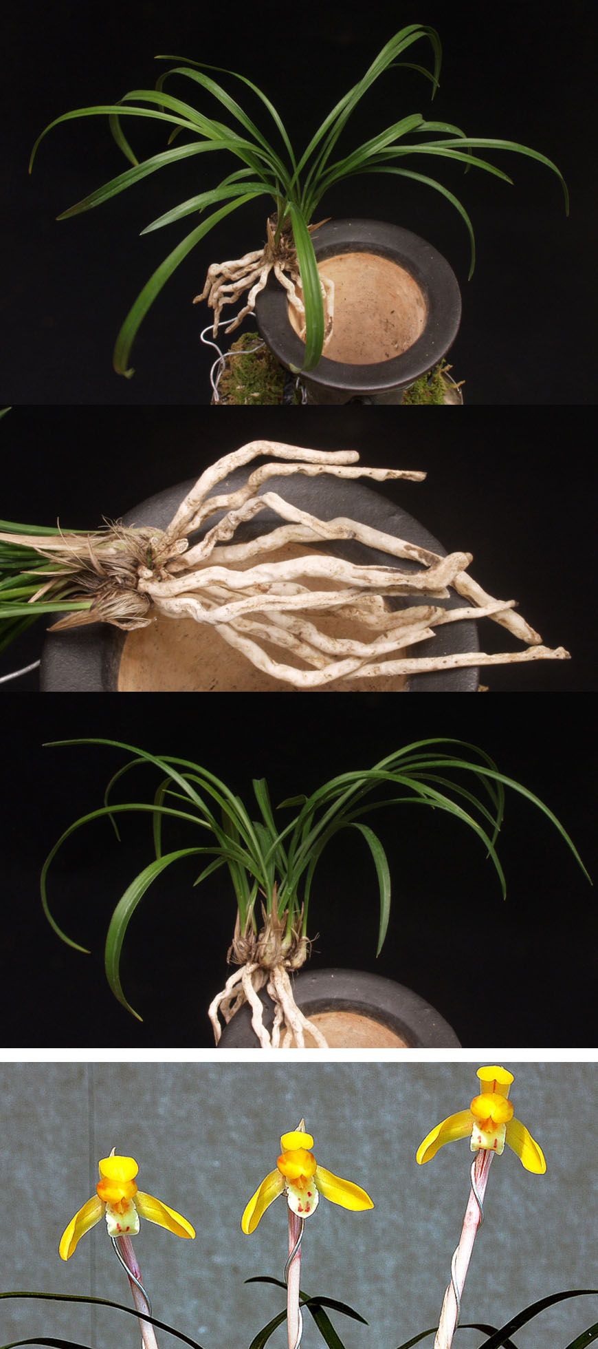 ������ ū������ �� �� �ֽ��ϴ�.