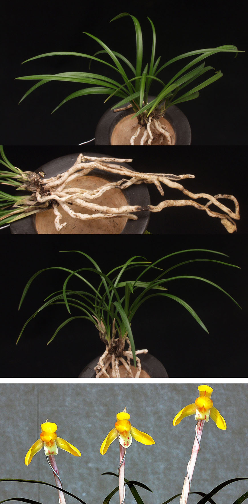 ������ ū������ �� �� �ֽ��ϴ�.