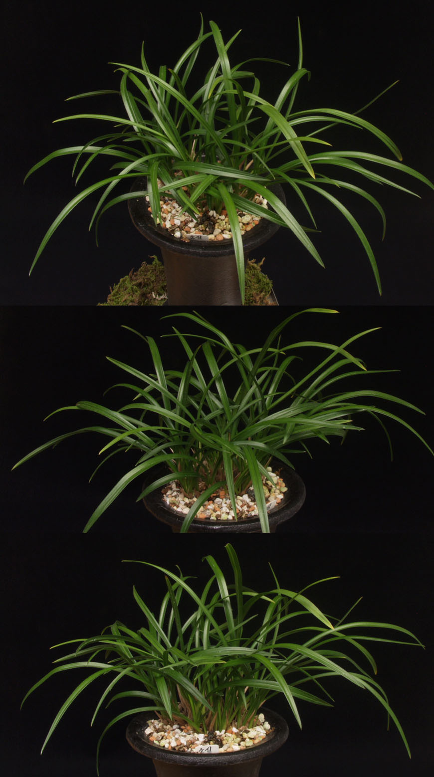 ������ ū������ �� �� �ֽ��ϴ�.