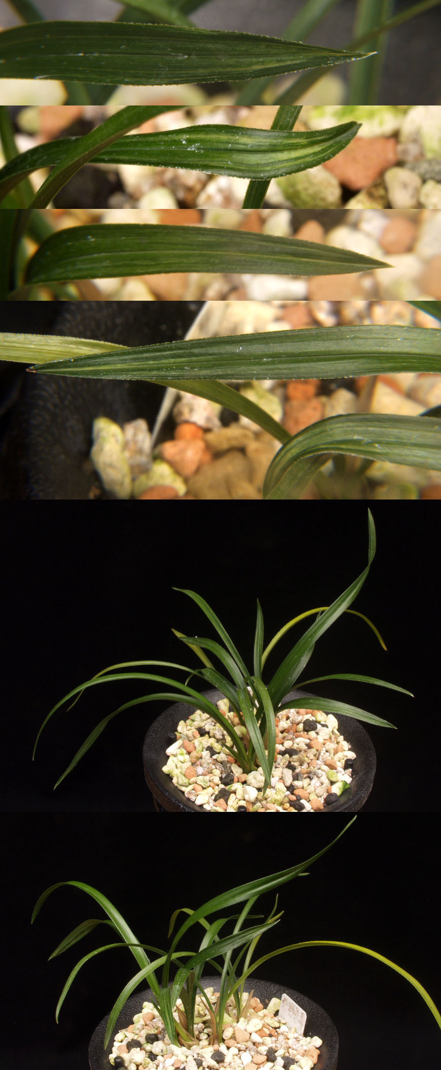 ������ ū������ �� �� �ֽ��ϴ�.