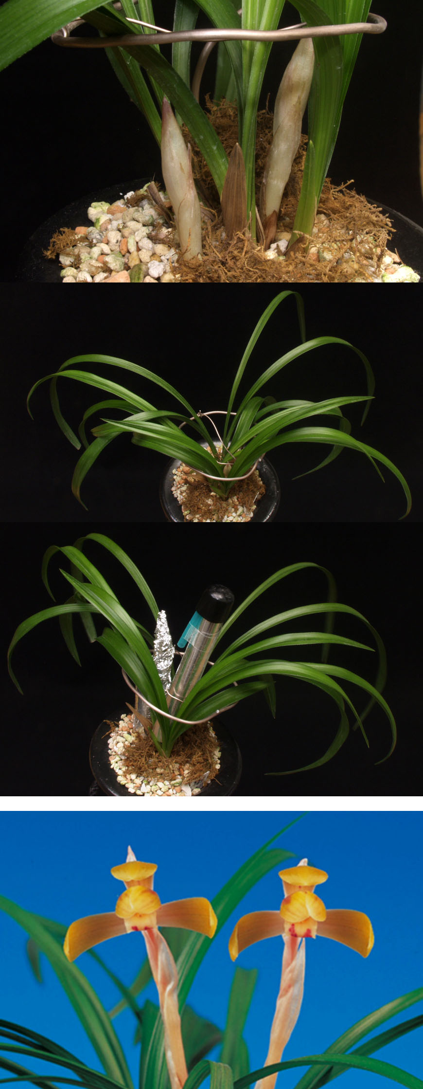 ������ ū������ �� �� �ֽ��ϴ�.