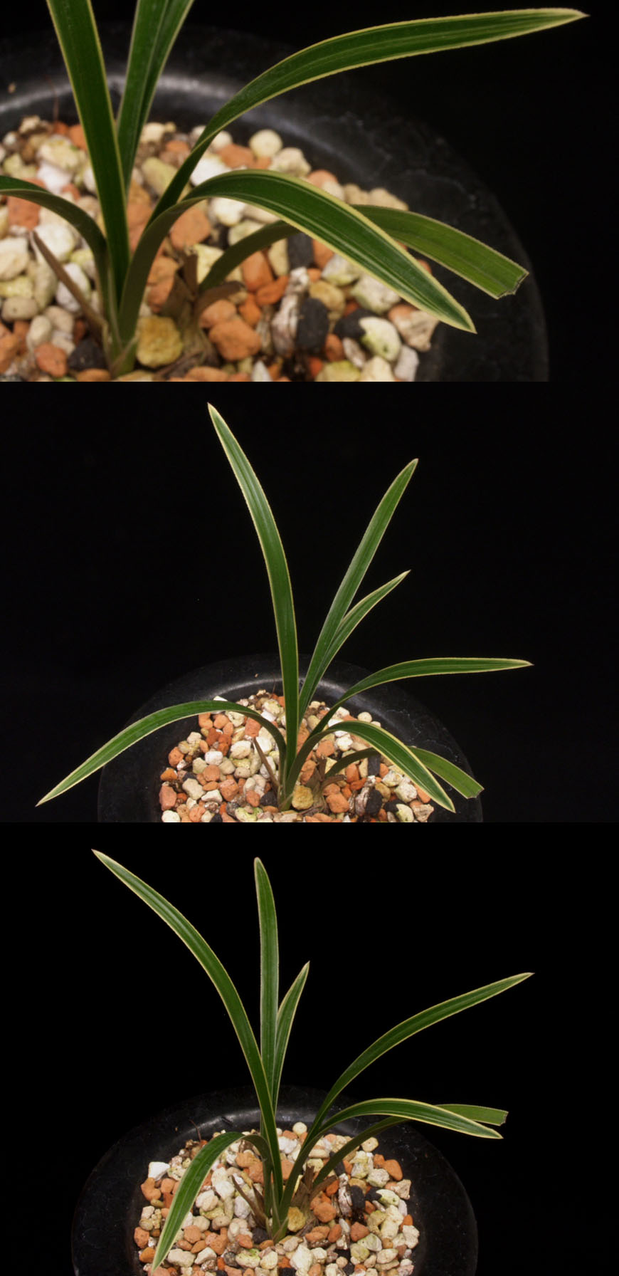 ������ ū������ �� �� �ֽ��ϴ�.