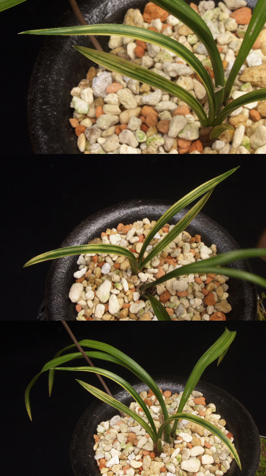 ������ ū������ �� �� �ֽ��ϴ�.