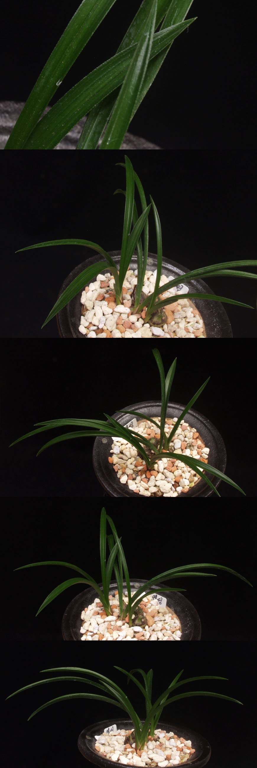 ������ ū������ �� �� �ֽ��ϴ�.