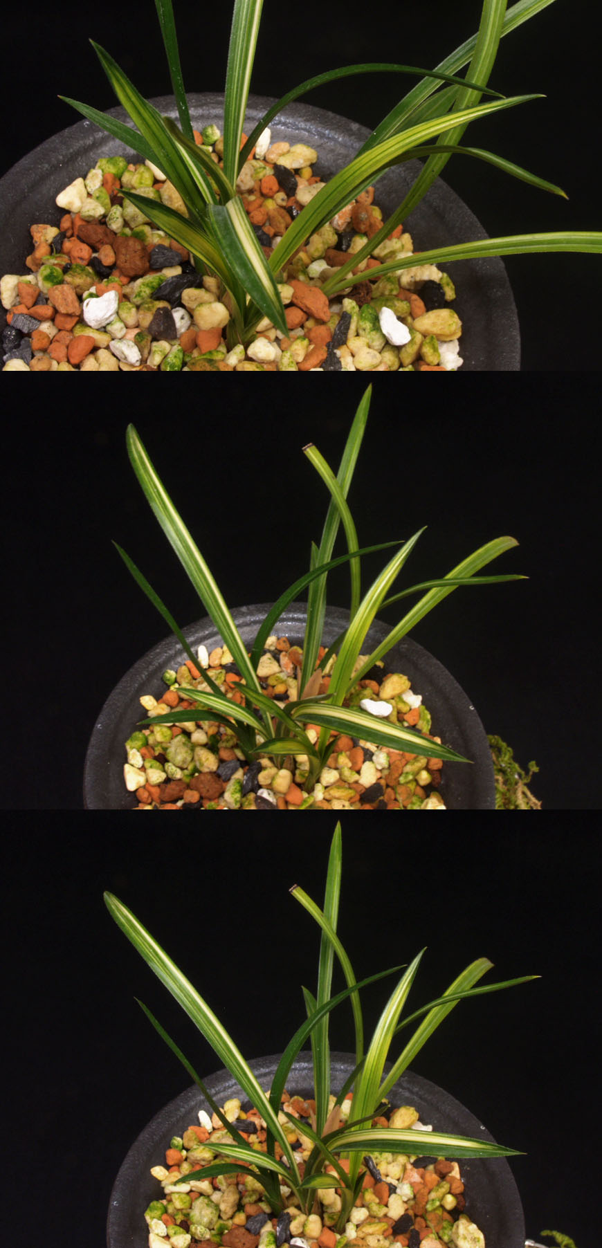 ������ ū������ �� �� �ֽ��ϴ�.