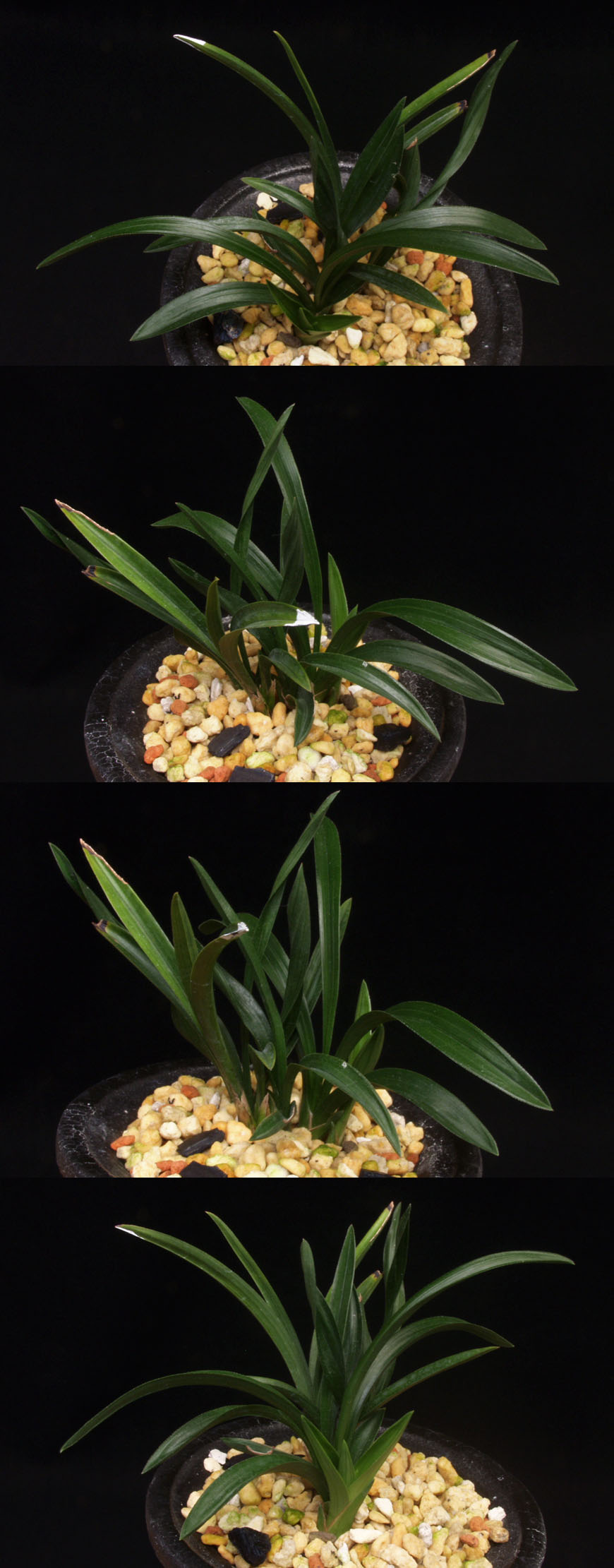 ������ ū������ �� �� �ֽ��ϴ�.