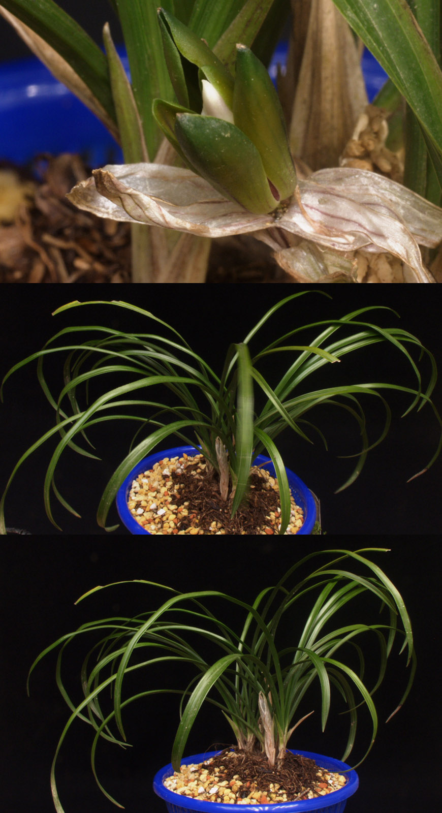 ������ ū������ �� �� �ֽ��ϴ�.