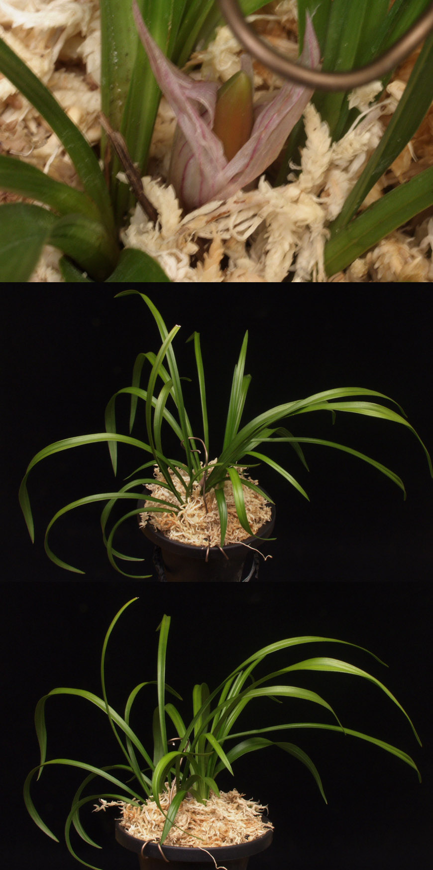 ������ ū������ �� �� �ֽ��ϴ�.