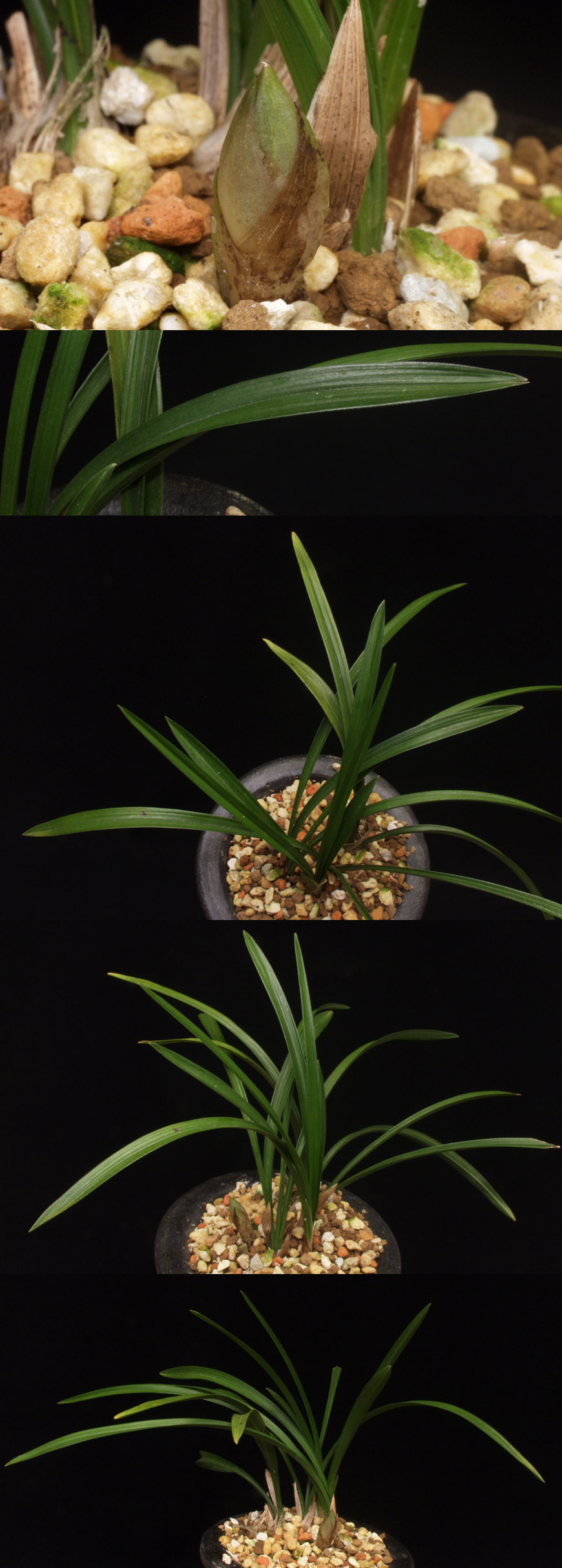 ������ ū������ �� �� �ֽ��ϴ�.