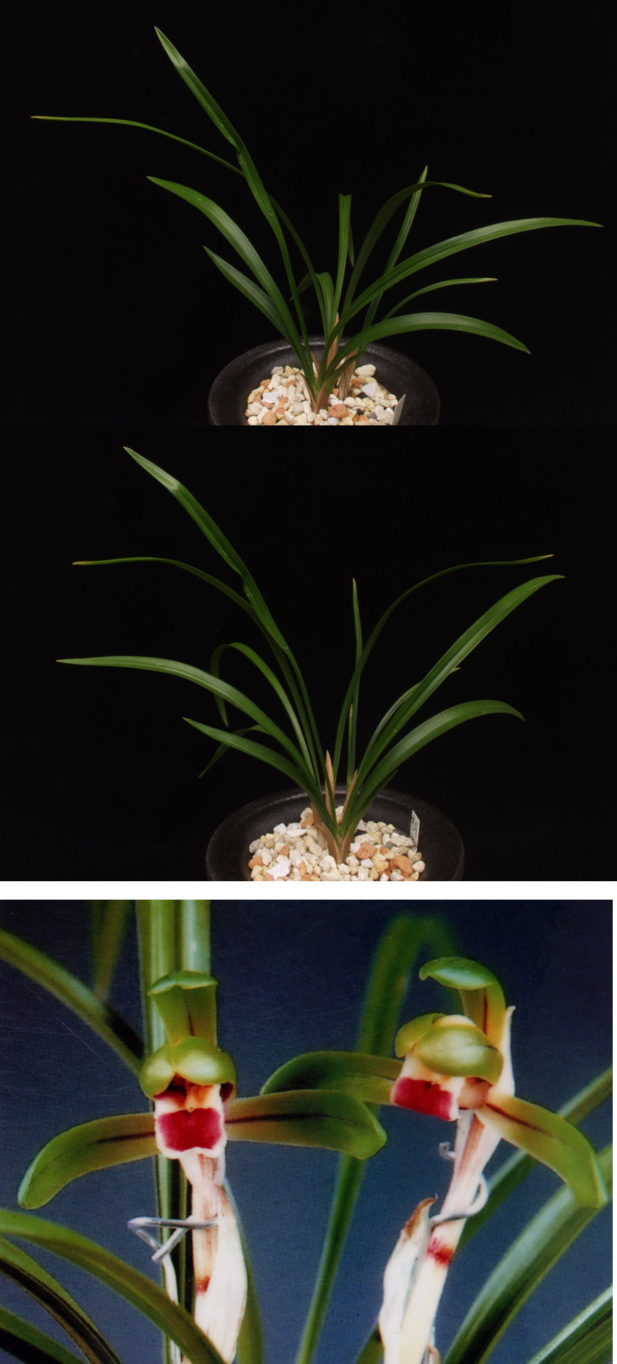 ������ ū������ �� �� �ֽ��ϴ�.