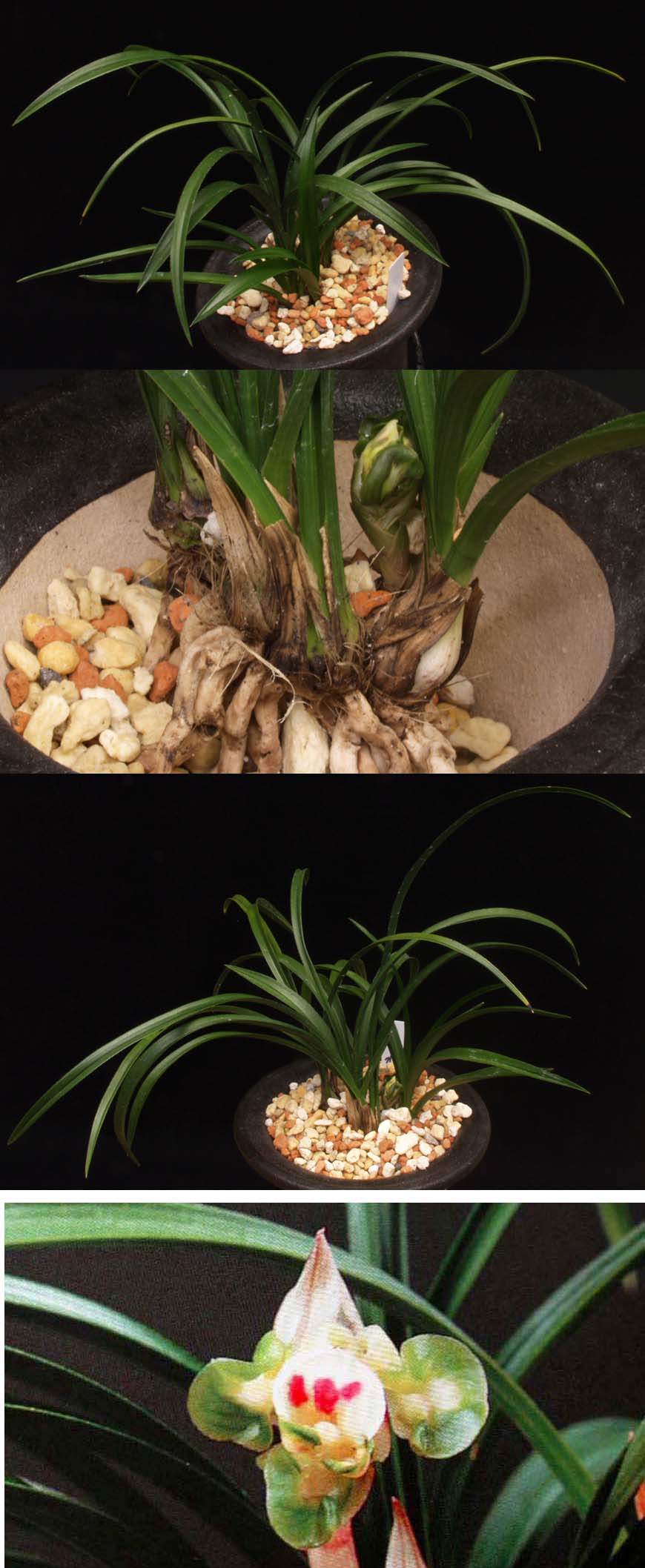 ������ ū������ �� �� �ֽ��ϴ�.