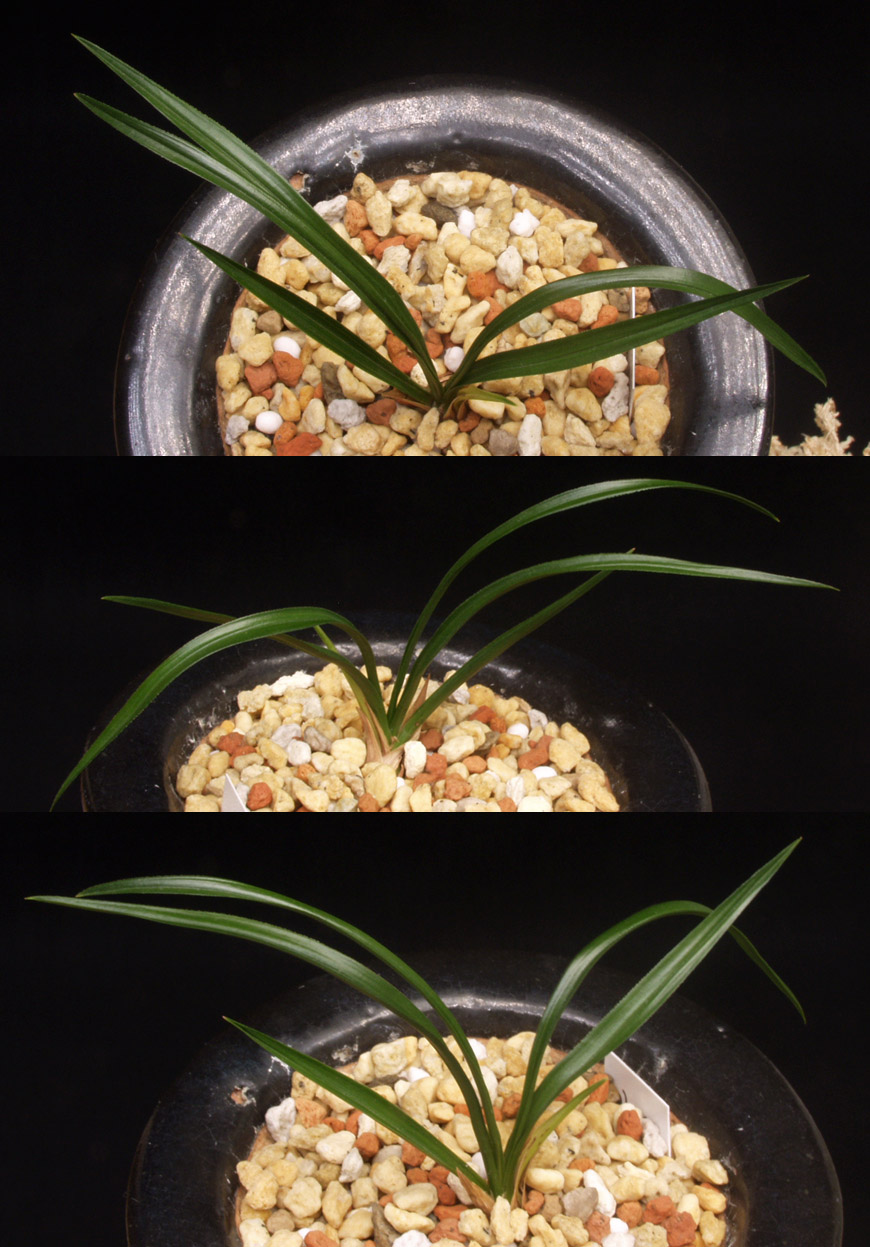 ������ ū������ �� �� �ֽ��ϴ�.