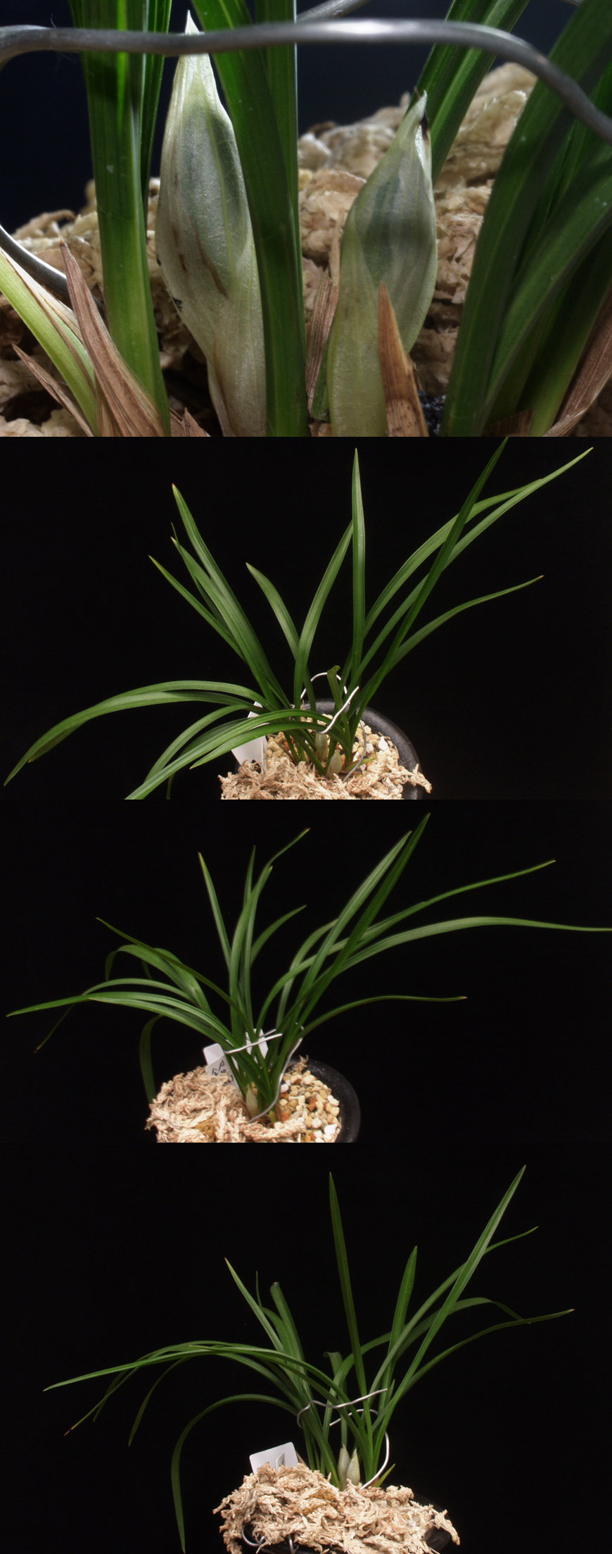 ������ ū������ �� �� �ֽ��ϴ�.