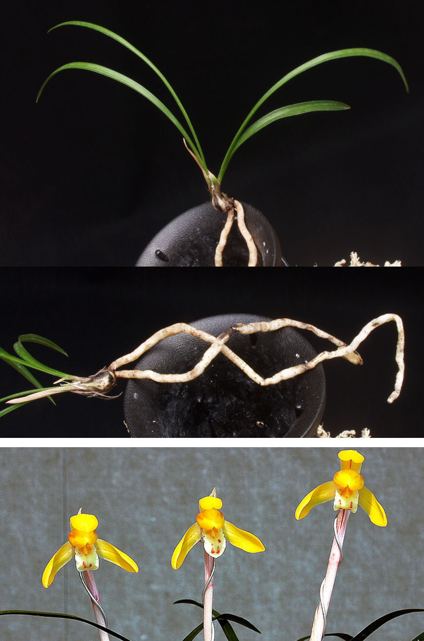 ������ ū������ �� �� �ֽ��ϴ�.