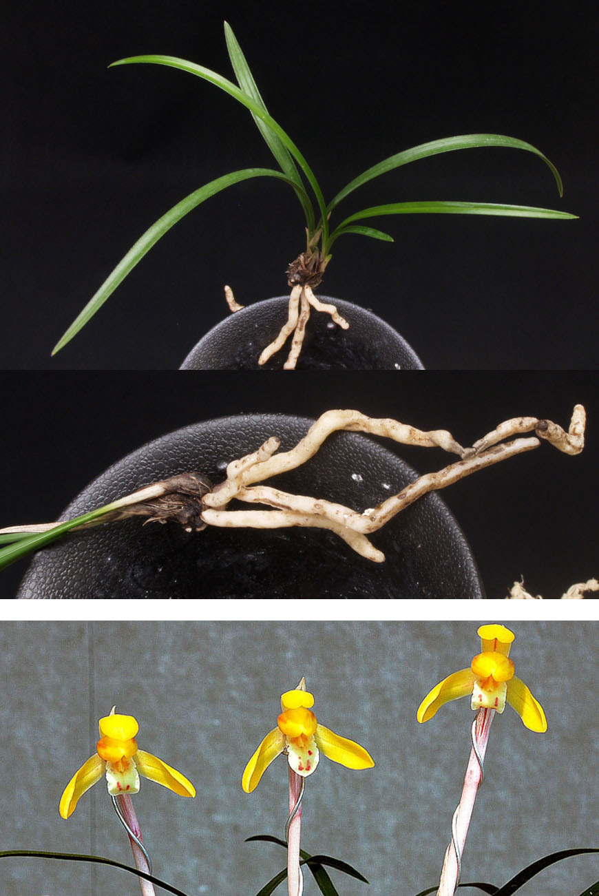 ������ ū������ �� �� �ֽ��ϴ�.