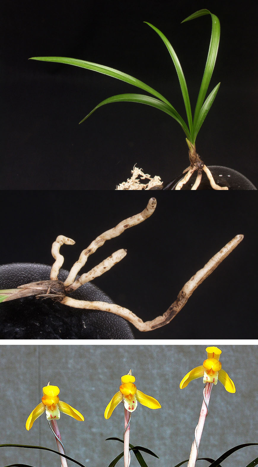 ������ ū������ �� �� �ֽ��ϴ�.