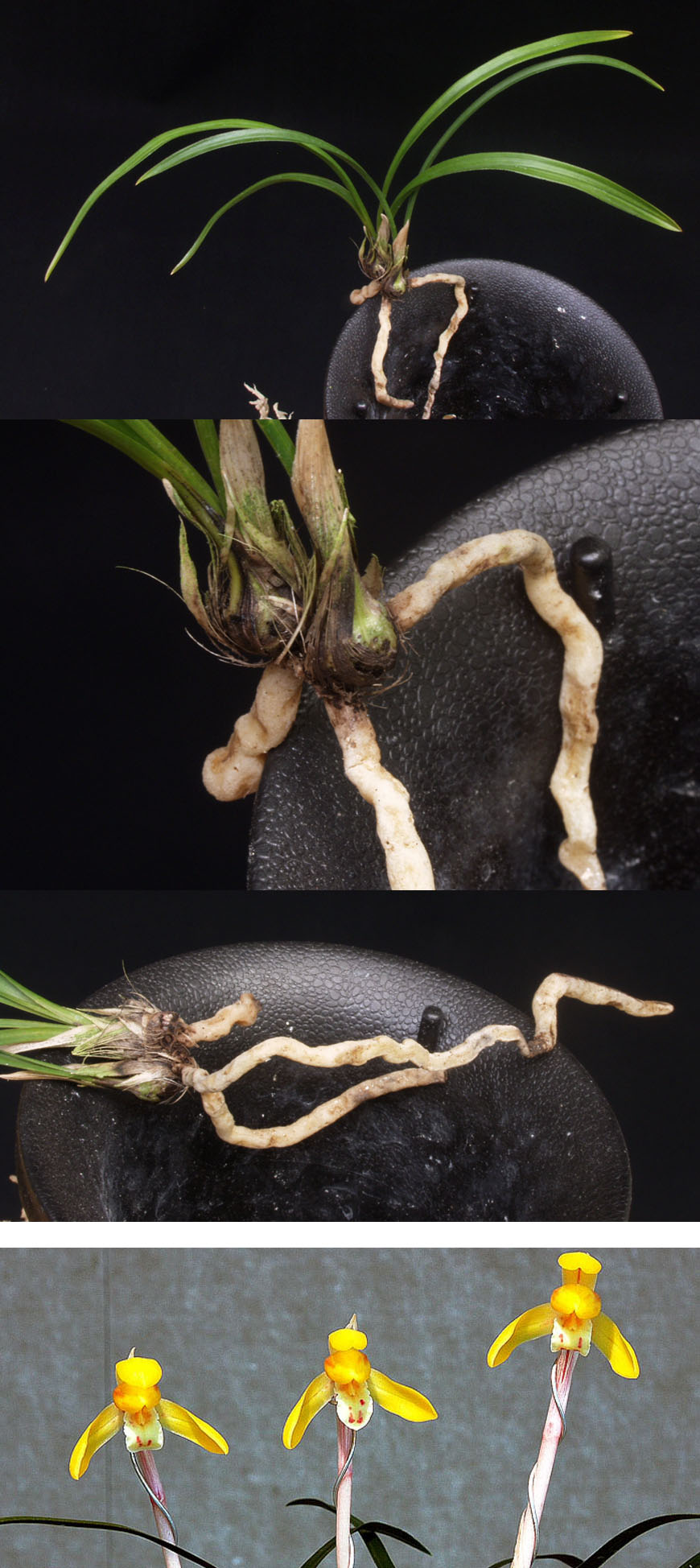 ������ ū������ �� �� �ֽ��ϴ�.