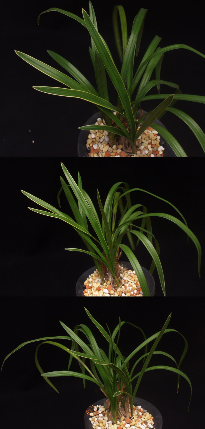 ������ ū������ �� �� �ֽ��ϴ�.