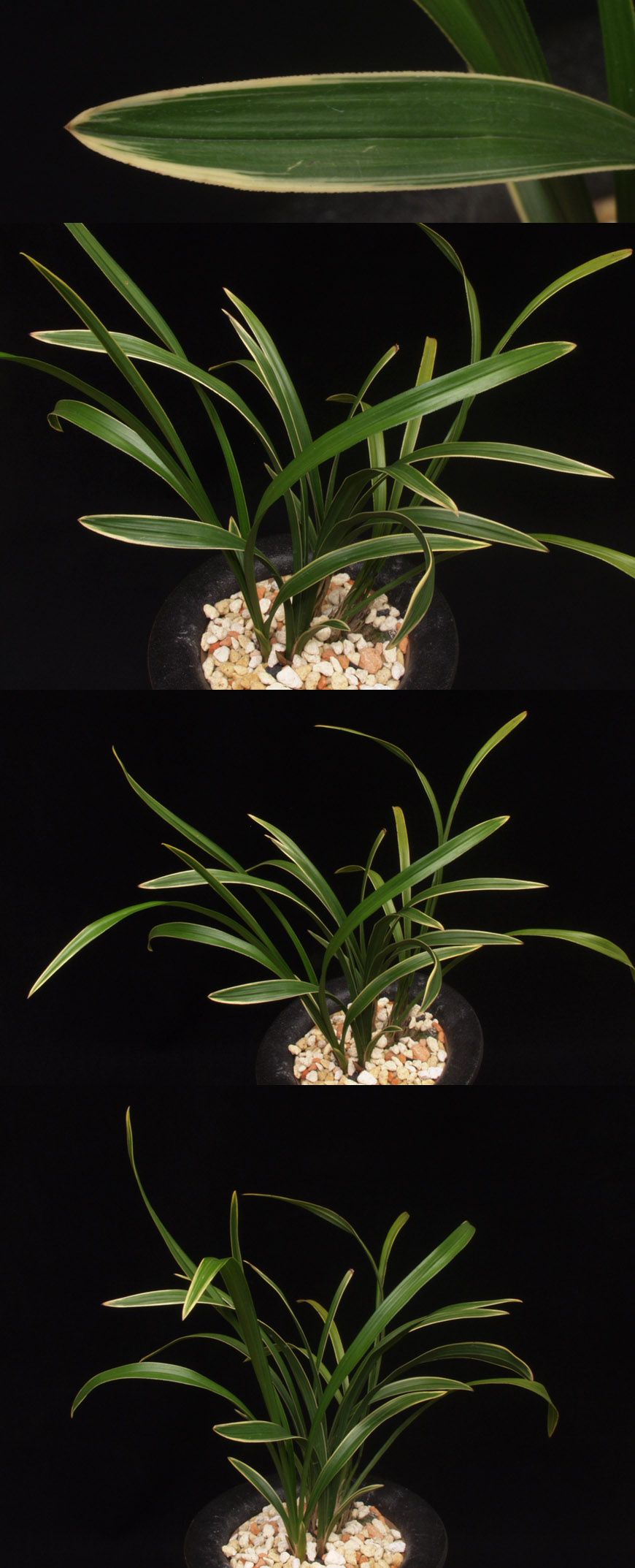 ������ ū������ �� �� �ֽ��ϴ�.