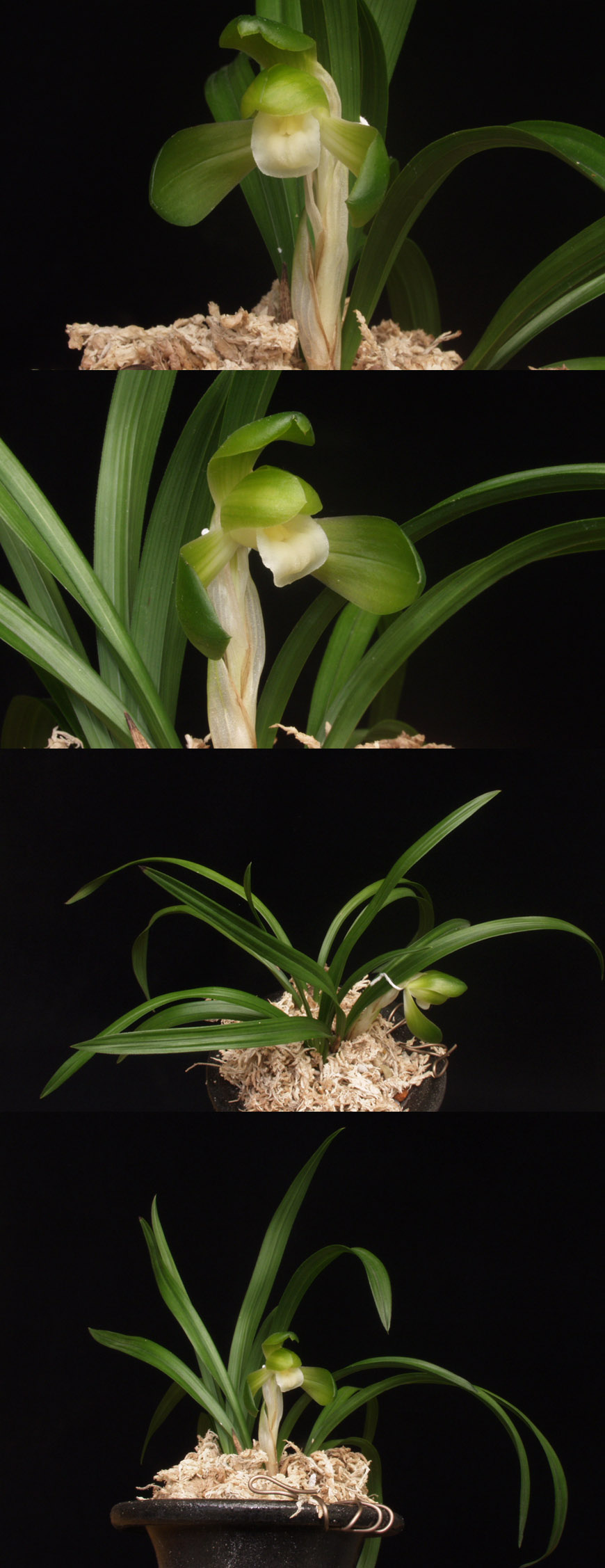 ������ ū������ �� �� �ֽ��ϴ�.