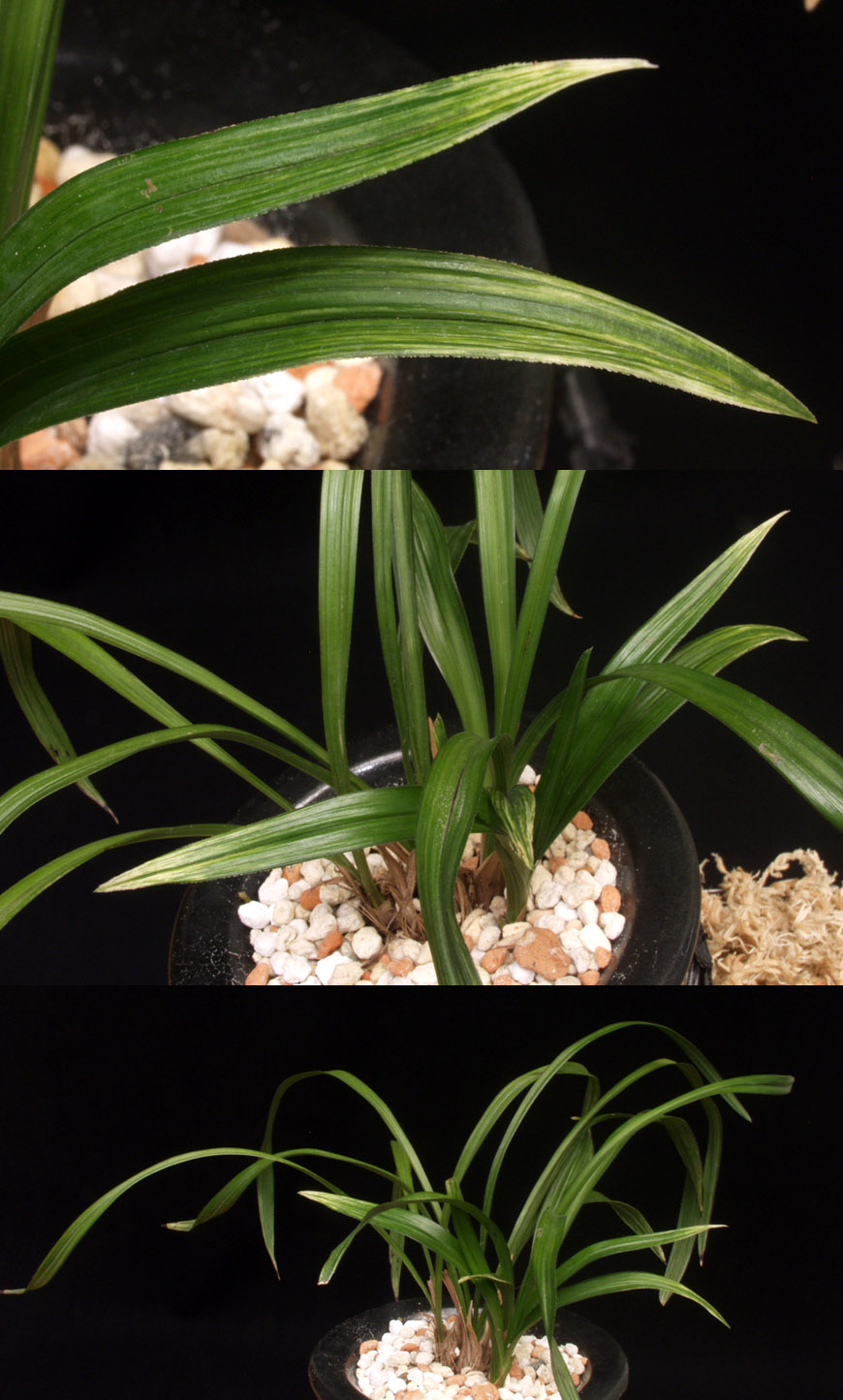 ������ ū������ �� �� �ֽ��ϴ�.