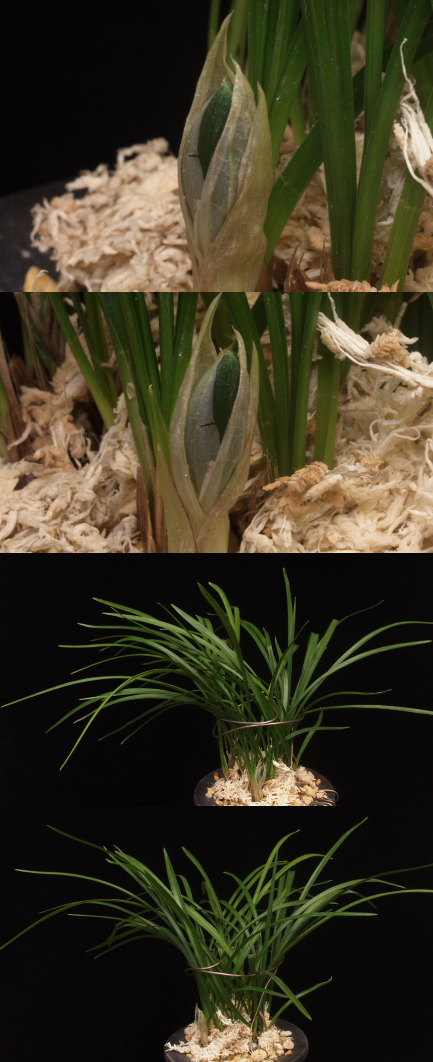 ������ ū������ �� �� �ֽ��ϴ�.