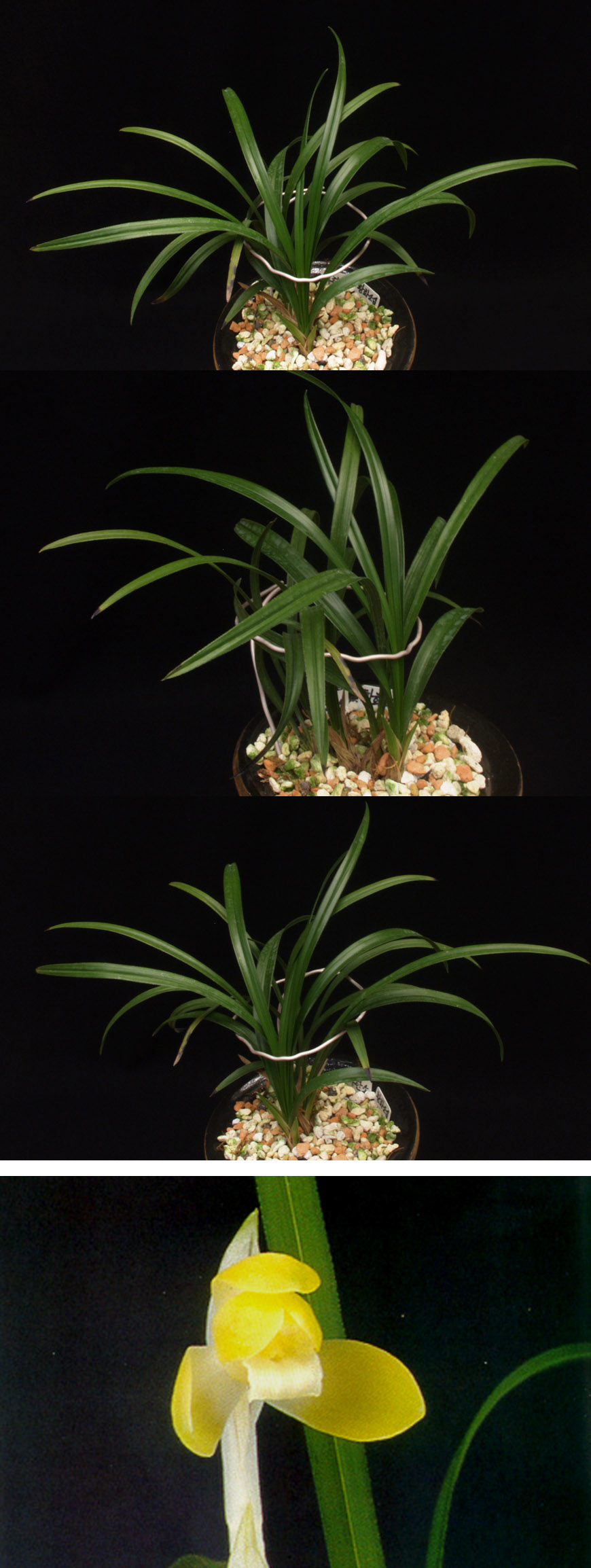 ������ ū������ �� �� �ֽ��ϴ�.