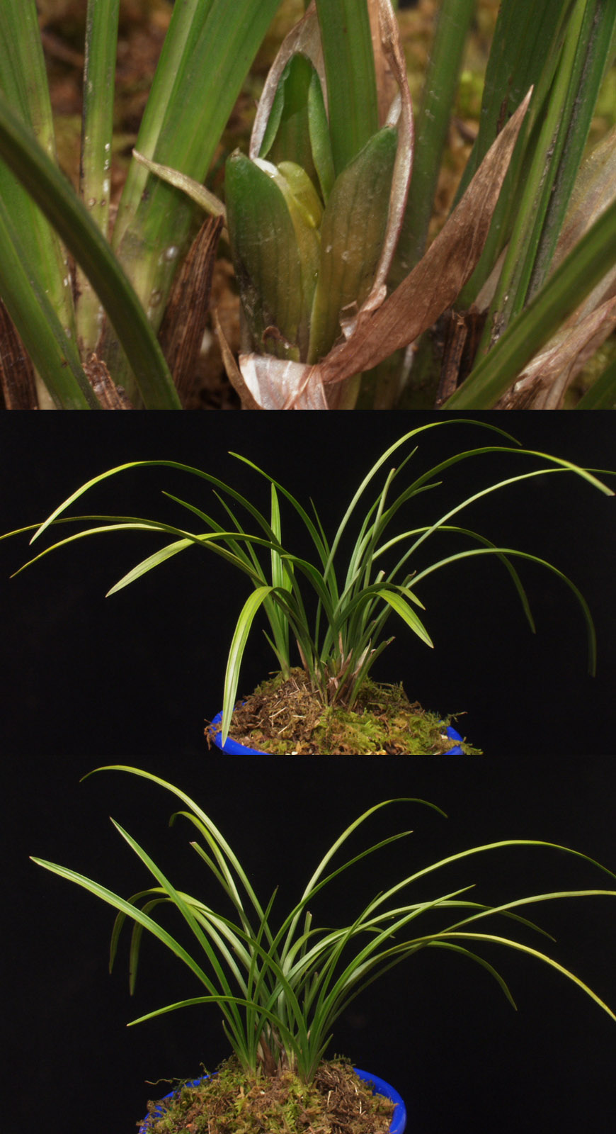 ������ ū������ �� �� �ֽ��ϴ�.