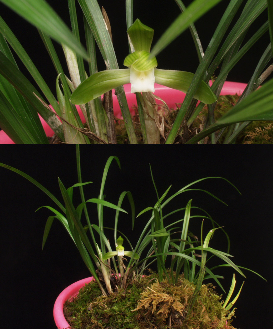 ������ ū������ �� �� �ֽ��ϴ�.