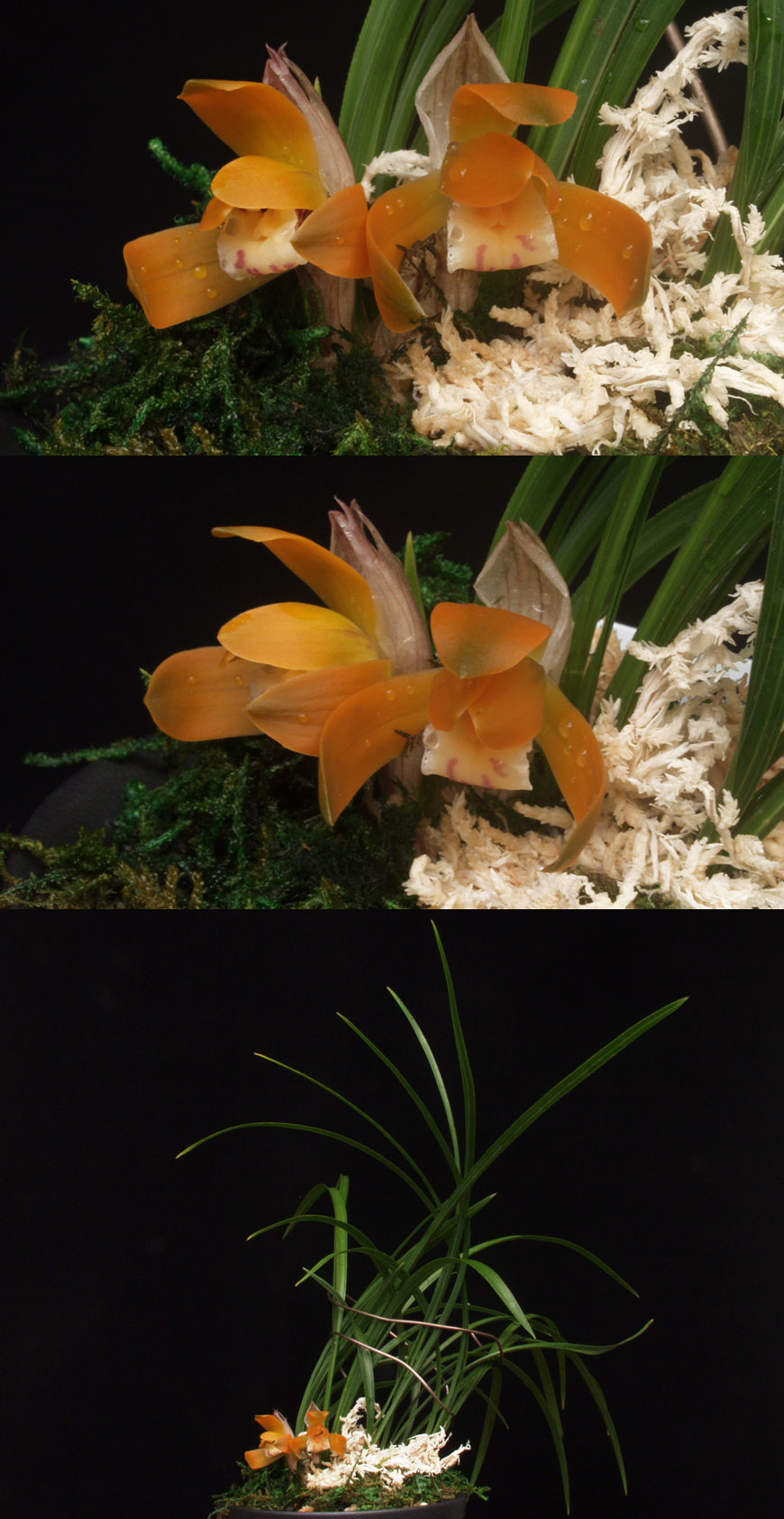 ������ ū������ �� �� �ֽ��ϴ�.