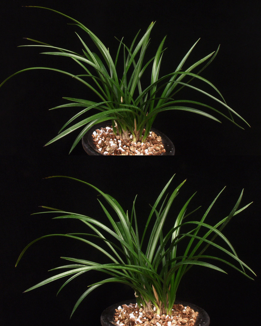 ������ ū������ �� �� �ֽ��ϴ�.