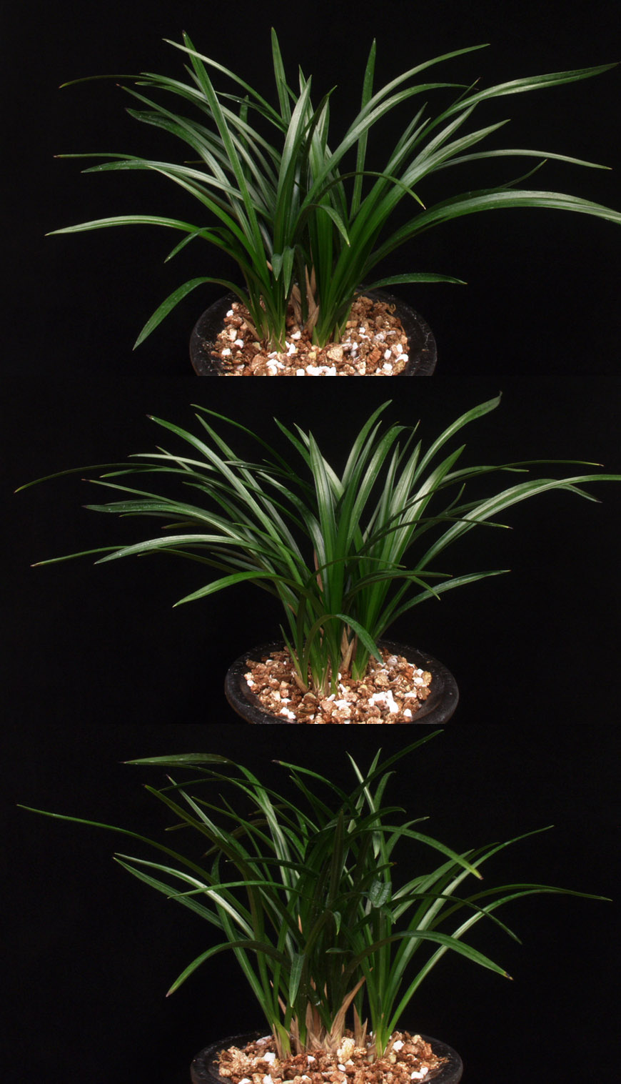 ������ ū������ �� �� �ֽ��ϴ�.