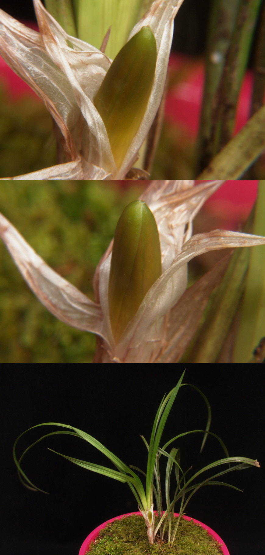 ������ ū������ �� �� �ֽ��ϴ�.