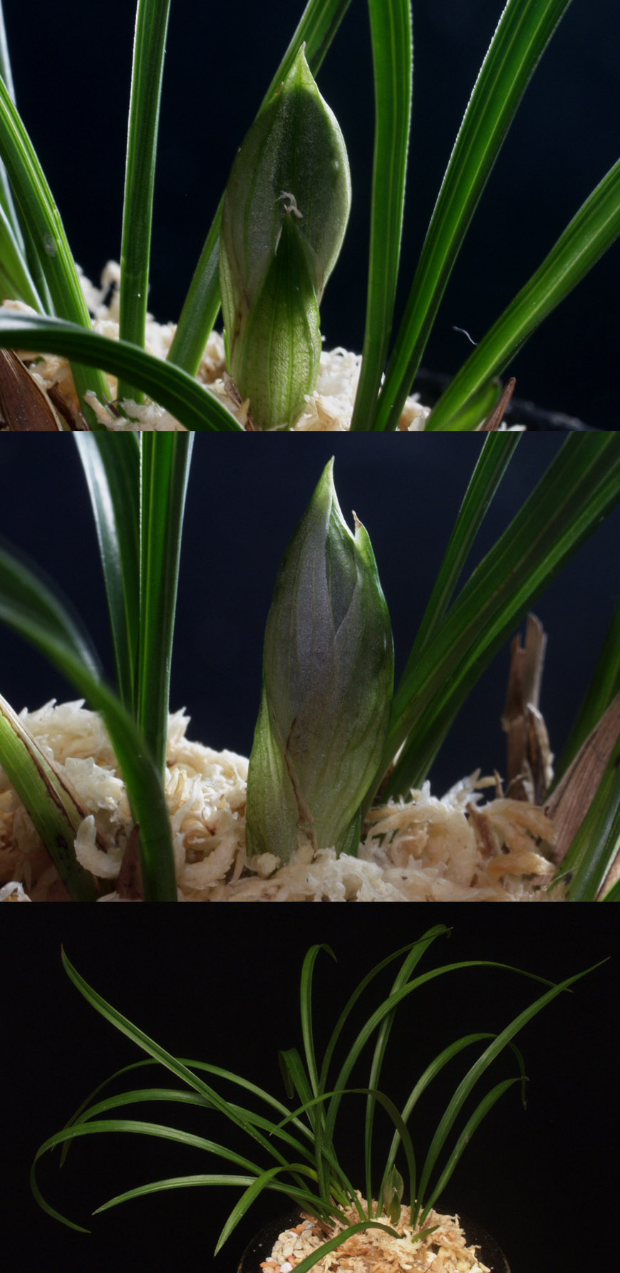 ������ ū������ �� �� �ֽ��ϴ�.