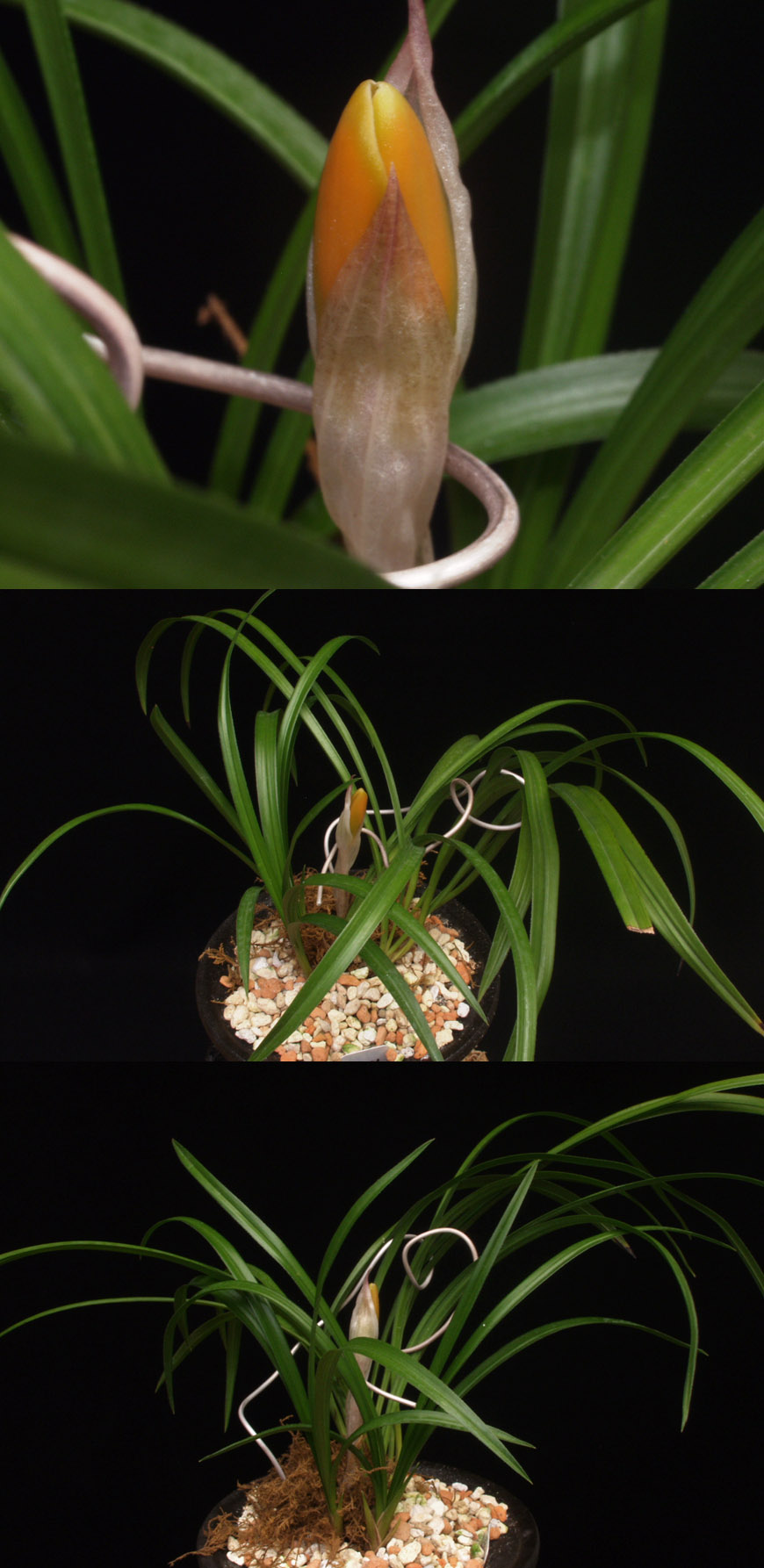 ������ ū������ �� �� �ֽ��ϴ�.