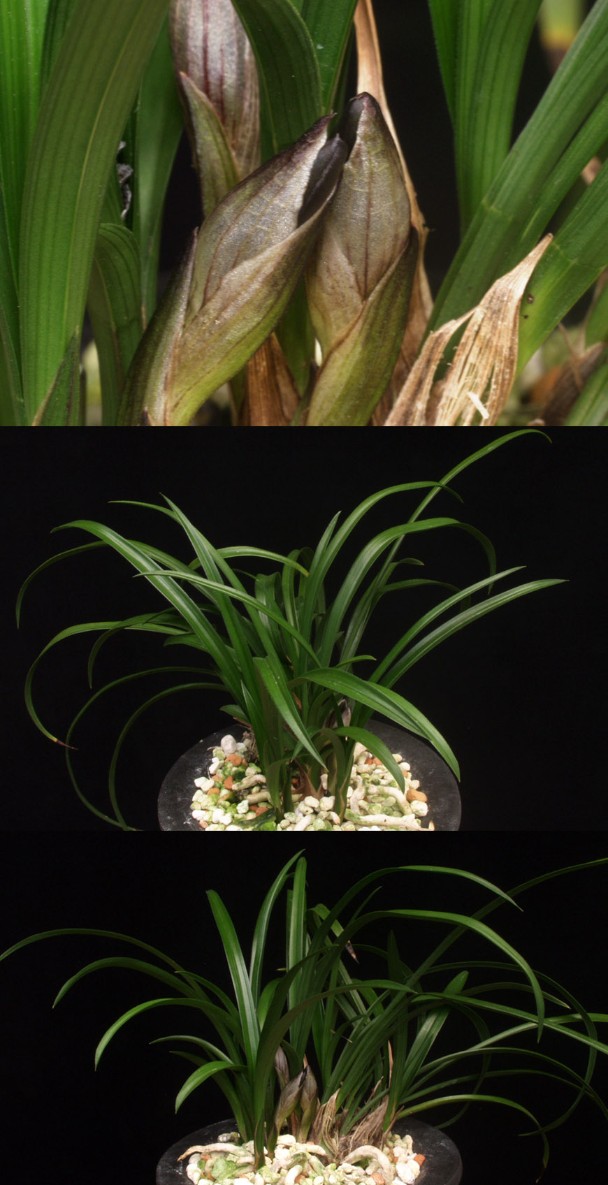 ������ ū������ �� �� �ֽ��ϴ�.