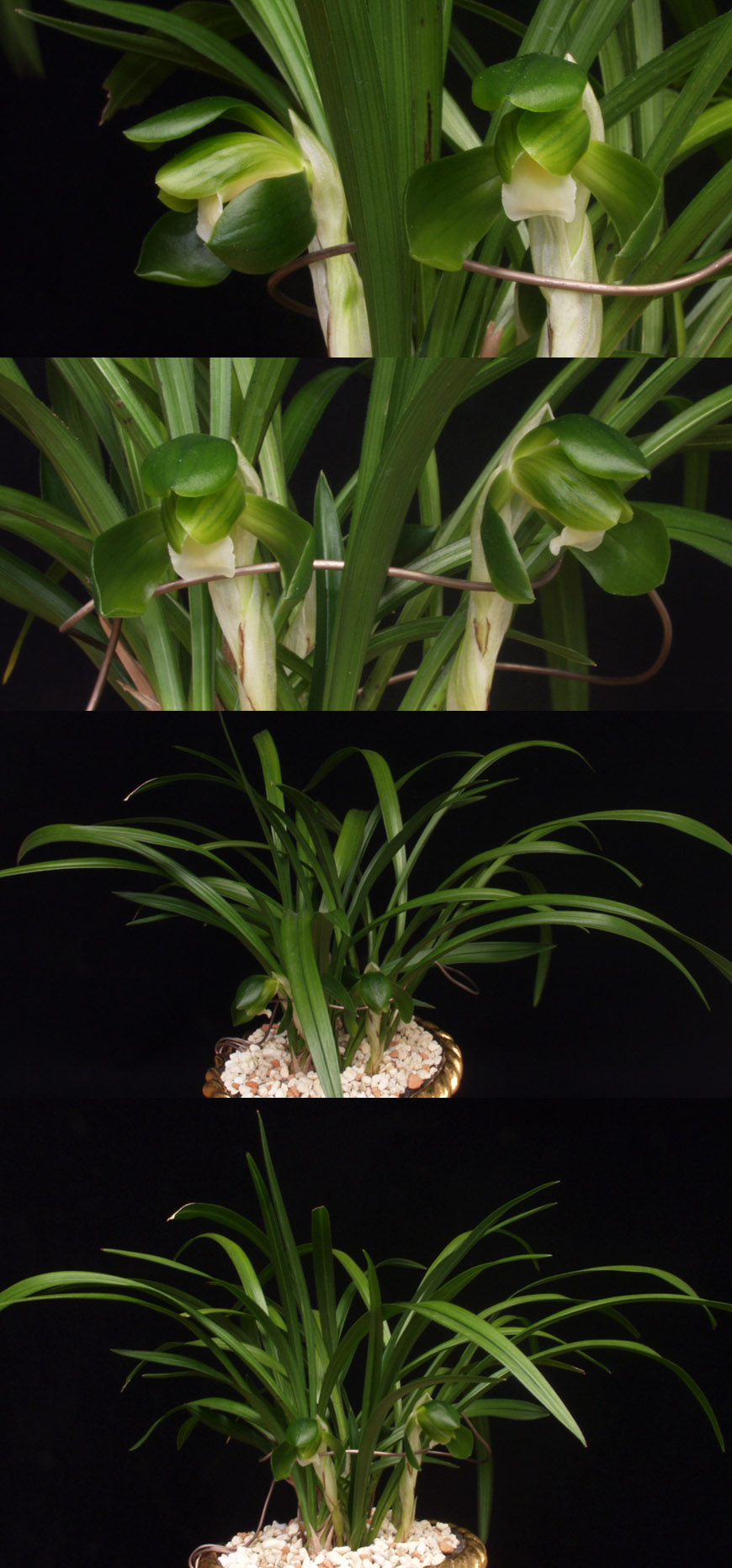 ������ ū������ �� �� �ֽ��ϴ�.