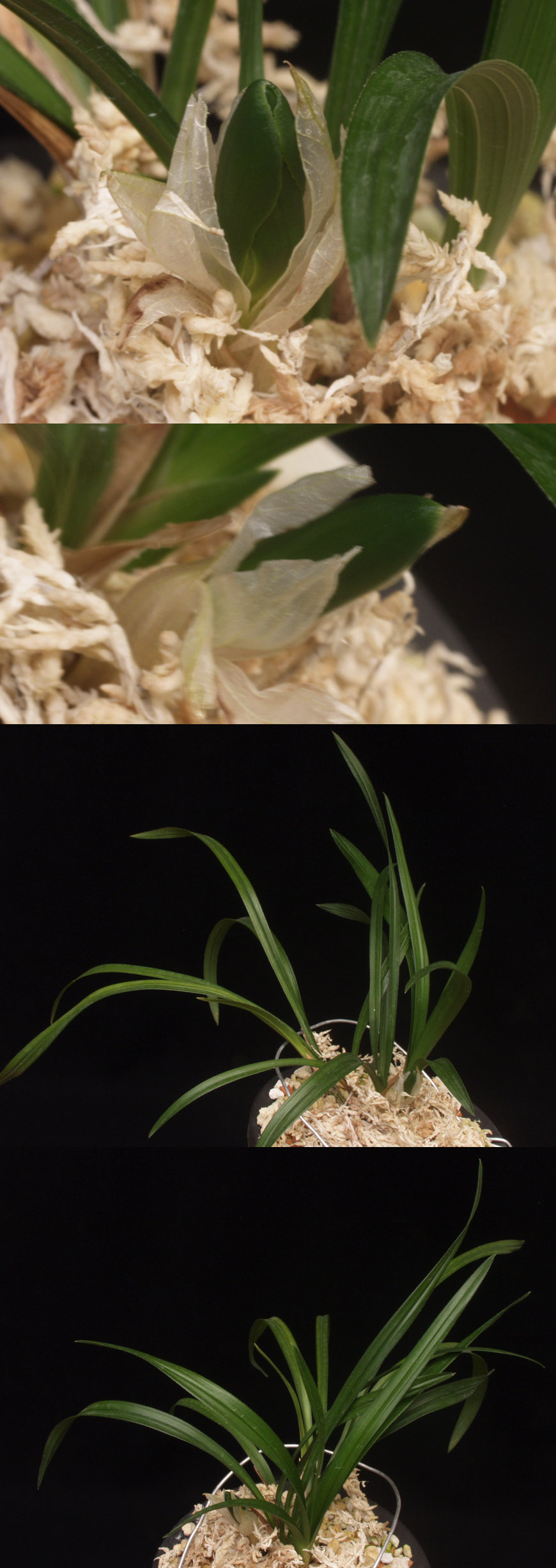 ������ ū������ �� �� �ֽ��ϴ�.