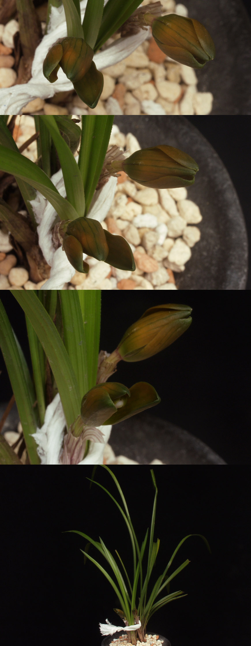 ������ ū������ �� �� �ֽ��ϴ�.