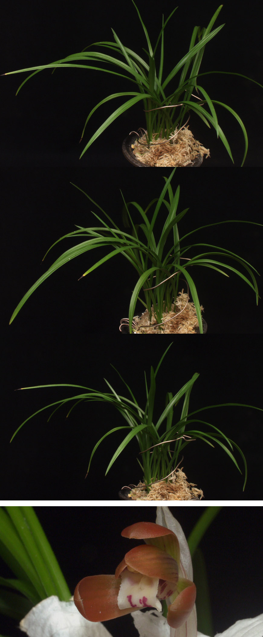 ������ ū������ �� �� �ֽ��ϴ�.