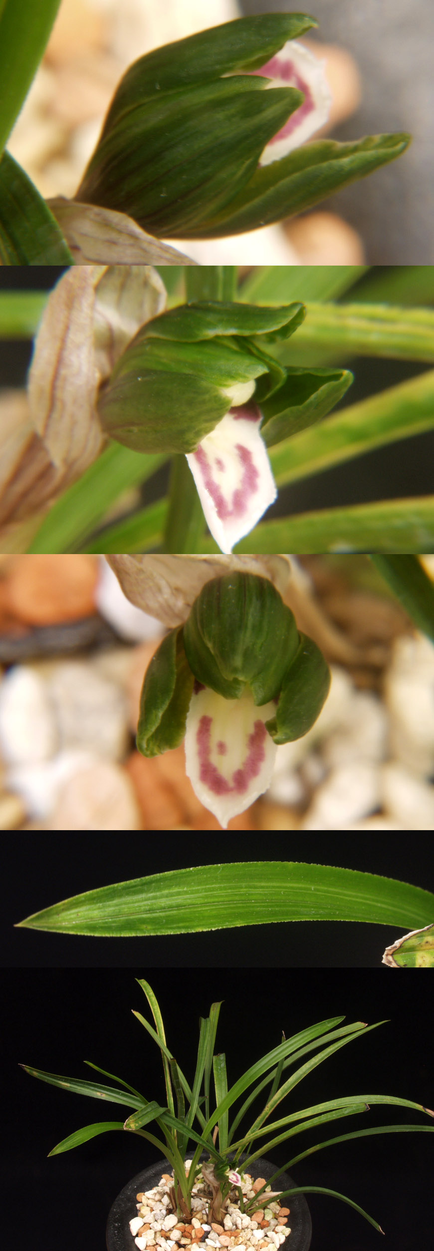 ������ ū������ �� �� �ֽ��ϴ�.