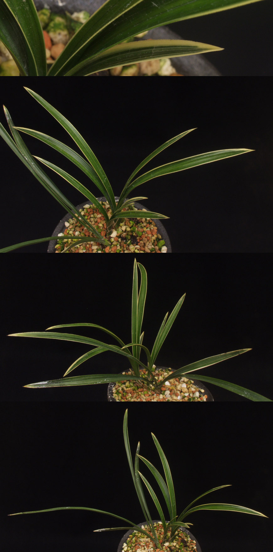 ������ ū������ �� �� �ֽ��ϴ�.