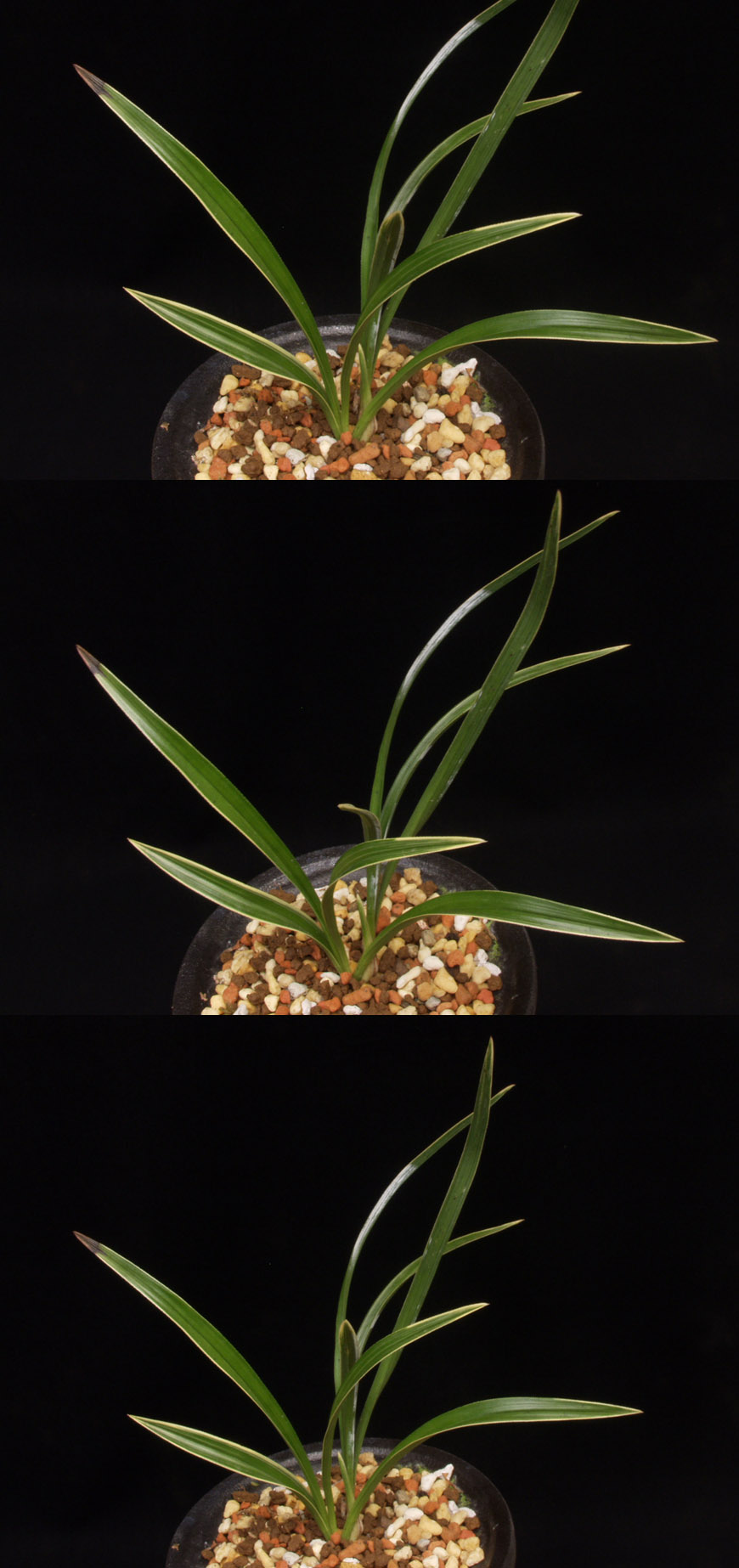 ������ ū������ �� �� �ֽ��ϴ�.