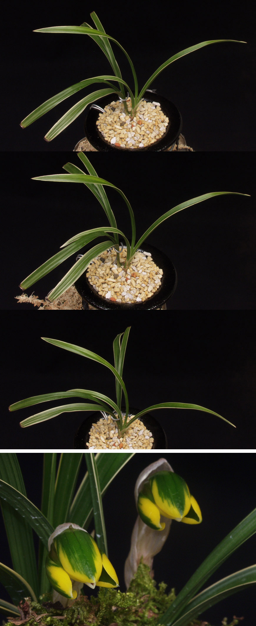 ������ ū������ �� �� �ֽ��ϴ�.