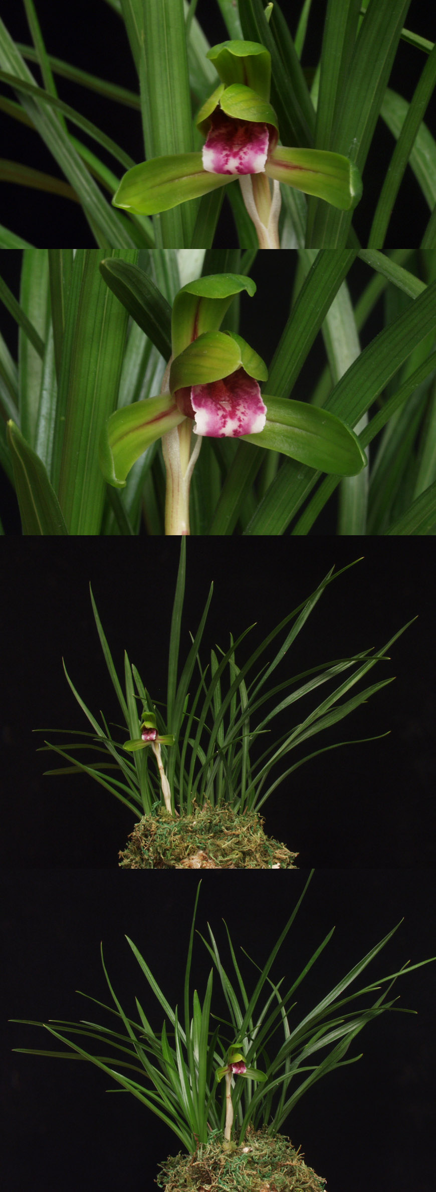 ������ ū������ �� �� �ֽ��ϴ�.